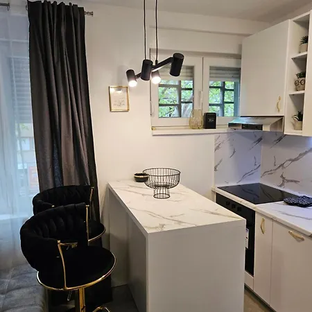 Center Luxury Apartman *